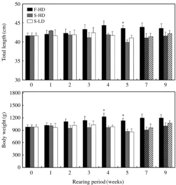 Fig. 2. Total length and body weight of the red sea bream Pagrus major  after starvation (gray and white bar) and subsequent refeeding (bar with  diagonal line) during red tide