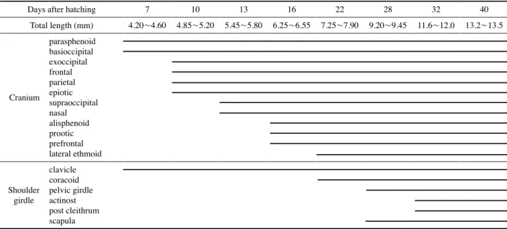 Table 2. The development process of vertebrae and caudal skeleton of Tridentiger trigonocephalus