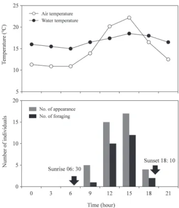 Fig. 3. Changes in temperature and number of individuals of Cobitis  choii in the Jicheon Stream, Korea, oberved at three-hour intervals on  September 16~17, 2011.