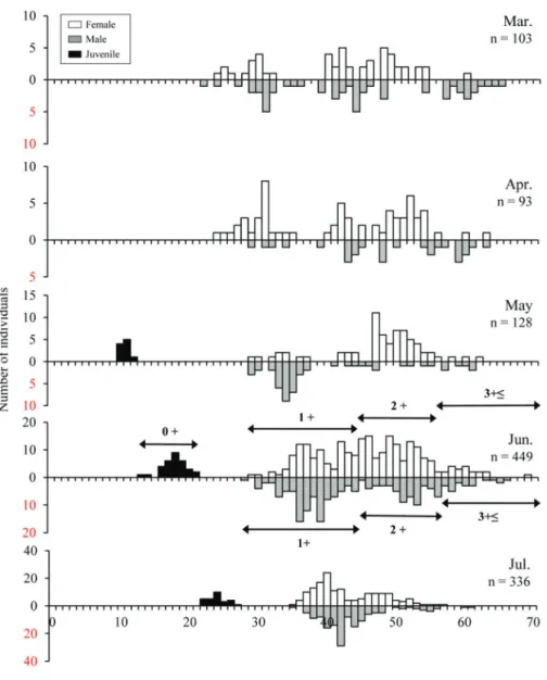 Fig. 2. Standard length frequency distribution of Rhodeus pseudosericeus in the Heukcheon (River) from March to July 2012.