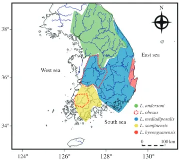 Fig. 2.  A schematic distribution of the genus Liobagrus in Korea.