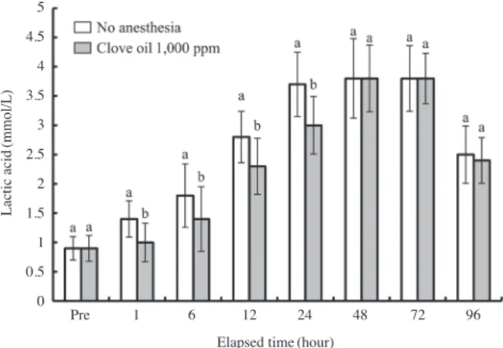 Fig. 3. Variations of the lactic acid concentrations in the blood plas- plas-ma of the far eastern catfish, Silurus asotus, during 96 hours after  suture, with the no anesthesia and clove oil (1,000 ppm) anesthesia  groups