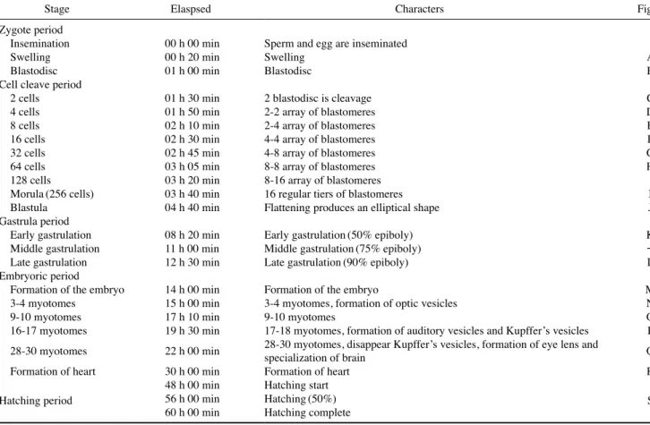 Table 1. Egg development of Iksookimia hugowolfeldi at water temperature 25℃