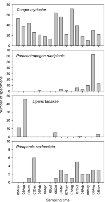 Fig. 3. Seasonal variations in number of individuals of common fish  species in the southern coast of East Sea, Korea.