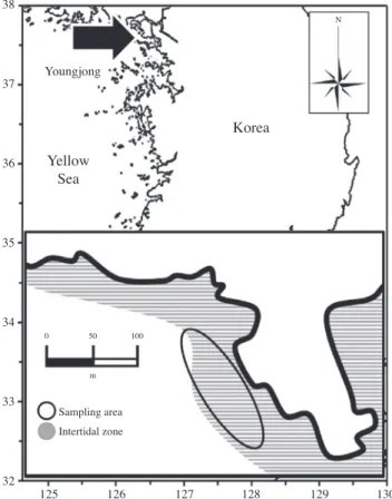 Fig. 1. Location of the sampling site on the Youngjong, Korea.