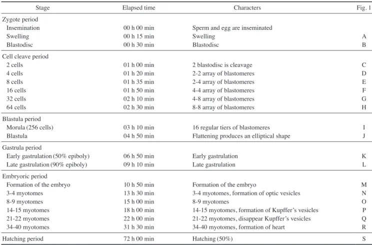 table 1. Embryonic development of Microphysogobio rapidus at water temperature 21±1°C
