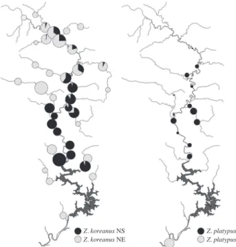 table 4. Introduced species from other native rivers found in upper reach of the Nakdong river