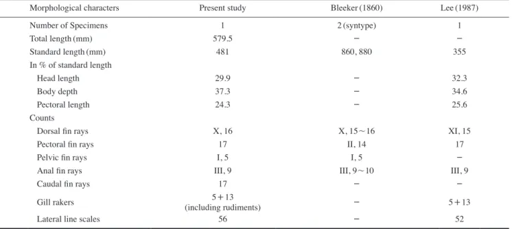 Table 1. Comparison of the morphological characters of Symphorus nematophorus