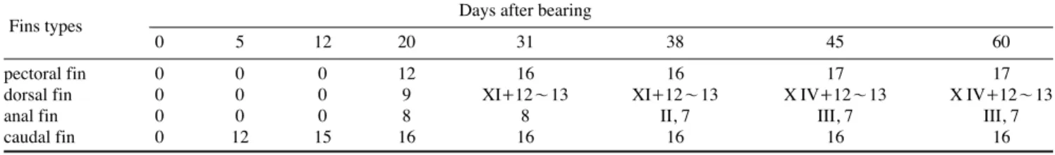 Table 4. The number of stem with every part of fin which is related to development of Sebastes koreanus