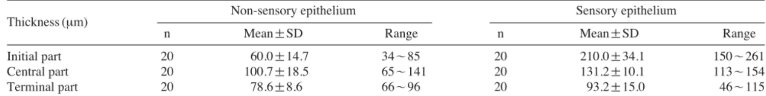 Table 1. Measurements of the olfactory epithelial thickness in the canal. N = =number of determinations