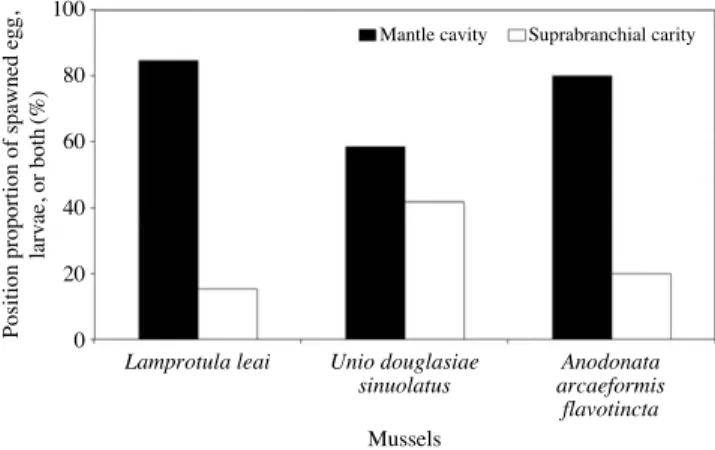 Fig. 7. Position proportion of spawned egg of Sarcocheilichthys vari- vari-egatus wakiyae in 3 mussels at the Dalcheon (river) from April to June 2011, 2013 (experiment conditions).