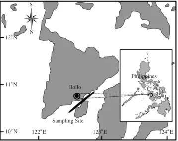 Fig. 1. Location of the sampling area in the coastal waters of Iloilo, Philippines.12�N11�N10�N S N 122� E 123� E 124� EIloilo Sampling SitePhilippines