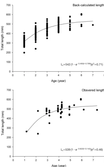 Fig. 7. Scattered diagram of observed body weights at age and fitted growth curve of Mugil cephalus.