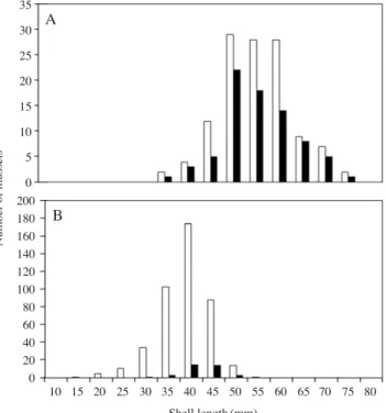 Fig. 2. Frequency distribution of shell length of Lamprotula leai in the Goesan population (A) and Unio douglasiae sinuolatus in the  Dan-yang population (B) laid by Acheilognathus signifer (�= =total number of mussels, �= = spawned number of mussels).