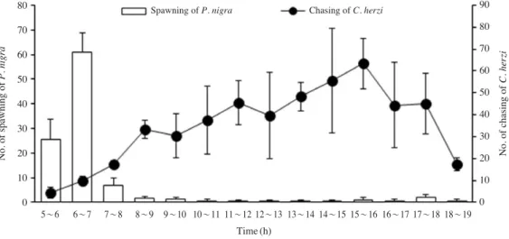 Fig. 2. Number of spawning of Pseudopungtungia nigra and number of chasing of Coreoperca herzi at the Juja Stream in May 2009