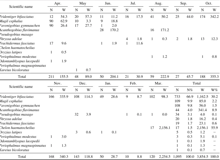 Table 1. Seasonal variation of species composition of fishes collected by a push net in the tidal creek of Sangnae-ri Suncheon, Korea