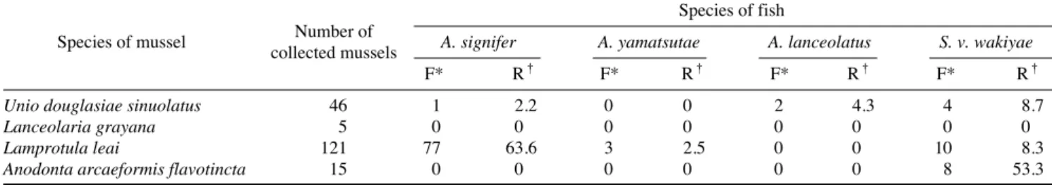 Fig. 1. The mean ( + + SD) number of spawned eggs, larvae, or both of Acheilognathus signifer from Lamprotula leai at the study site 1 (wild condition) from April to May 2011