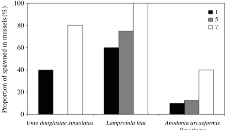 Fig. 4. The mean ( + + SD) number of spawned eggs, larvae, or both of Acheilognathus signifer from each of mussels at the study site 2 (experiment 2) in June 2011