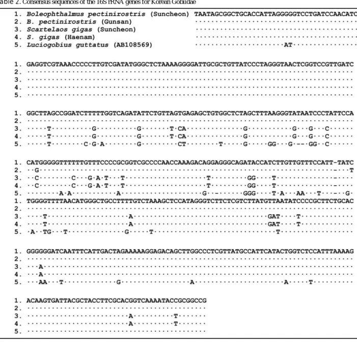Table 2. Consensus sequences of the 16S rRNA genes for Korean Gobiidae