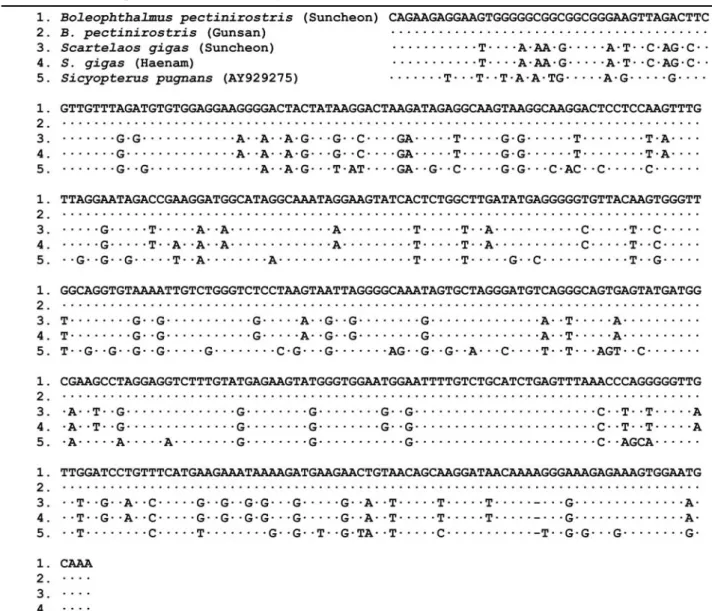 Table 3. Consensus sequences of the mitochondrial cytochrome b genes for Korean Gobiidae