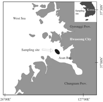Fig. 1. Map the showing sampling site by a stow net for the fish com- com-munity study in the water off Hwaseong City, the West Sea, Korea from March 2011 to February 2012.