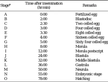 Fig. 2. Larvae development of A. macropterus from Japan. A; 1 day after hatching, 5.6 mm in total length (TL)