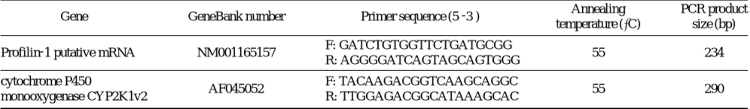 Fig. 1. Annealing control primer (ACP)-based polymerase chain reac- reac-tion (PCR) for the identificareac-tion of differentially expressed genes from treated poMSTNpro and non-treated in rainbow trout