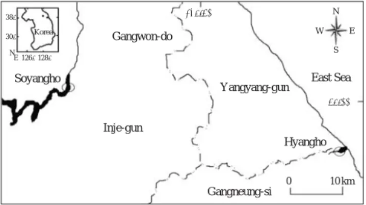 Fig. 1. Map showing the sampling stations of Hypomesus nipponensis in the Soyangho and Hyangho, Gangwon-do, Korea.