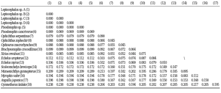 Fig. 3. Phylogenetic tree based on partial mt 12S rRNA nucleotide sequences showing the relationships among ophichthid leptocephali and 12 ophichthid species with 2 outgroups