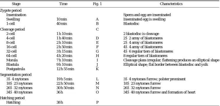 Table 2. Time required for embryonic stages of Koreocobitis naktongensis at 20� C