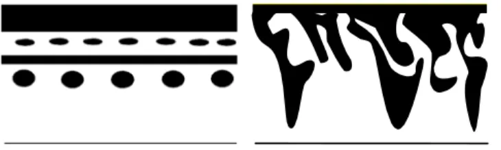 Fig. 1. Typical body pigmentation of genera Cobitis (left) and Ikso- Ikso-okimia (right).