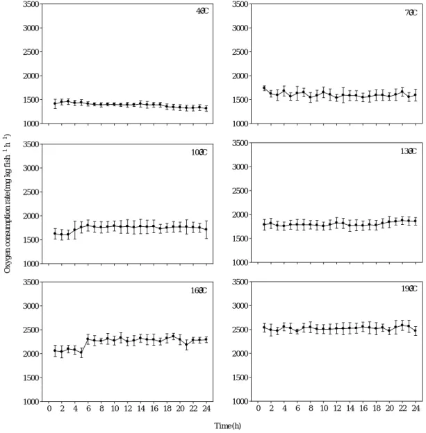 Fig. 1. Changes of oxygen consumption rate in fry (mean weight : 1.5 g) of fasted starry flounder Platichthys stellatus under six different water temperatures