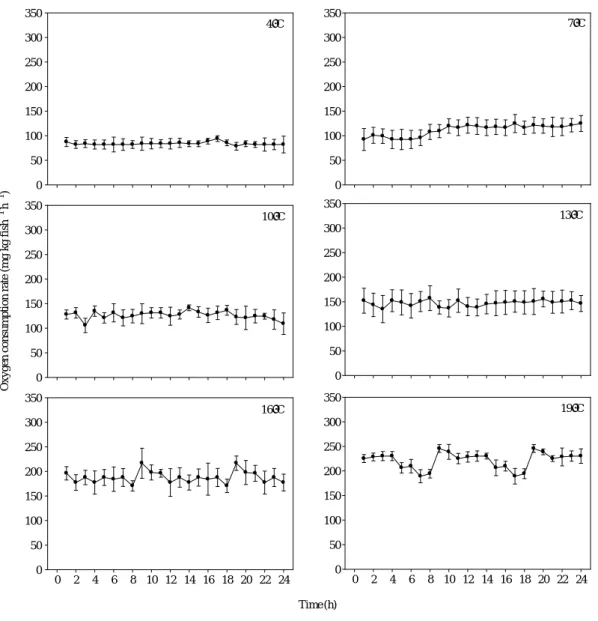 Fig. 2. Changes of oxygen consumption rate in fingerling (mean weight : 37.4 g) of fasted starry flounder Platichthys stellatus under six different water temperatures