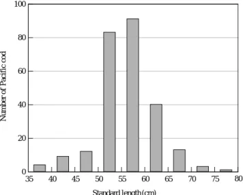 Fig. 2. Size composition of Gadus macrocephalus collected in Jinhae Bay. 15 20 25 30 35 40 45 50 55010203040 Standard length (cm) 60