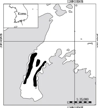 Fig. 1. Location of the study area (the black solid area) in Dongdae Bay, Korea.