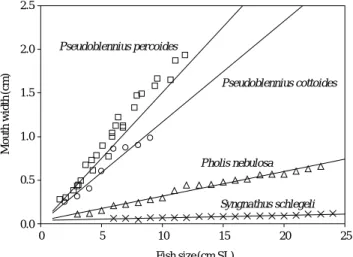Fig. 7. The size-related variations of dietary breadth index of Pseu- Pseu-doblennius percoides.