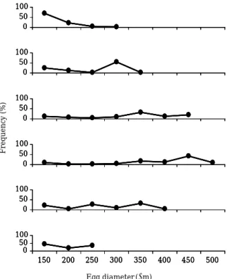 Fig. 8. Frequency distributions of egg diameters in fe- fe-male  Periophthalmus modestus during the  breed-ing season.