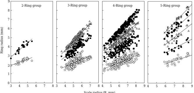 Fig. 6. Relationship between scale radius and ring radius of the robust tonguefish, C