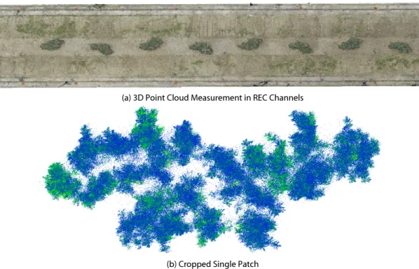Fig. 4. Point Cloud Matching Results of Vegetation Patch