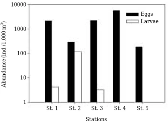 Fig. 7. The abundance (A) and composition (B) of Mau- Mau-rolicus japonicus eggs at each developmental stage in the Line II.