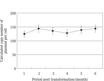 Fig. 2. Copy number of plasmids containing E-lysis gene driven by lambda PR regulation during subculture over 6 months