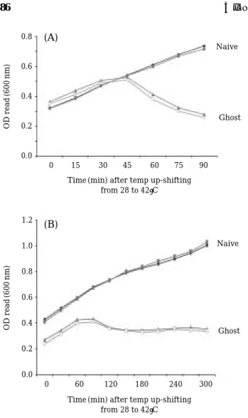 Fig. 3. Induction of recombinant bacterial ghosts in E.