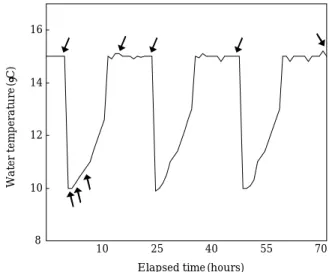 Fig. 1. Water temperature changes designed with the sudden drop and the sudden rise. Arrows indicate the blood sampling time