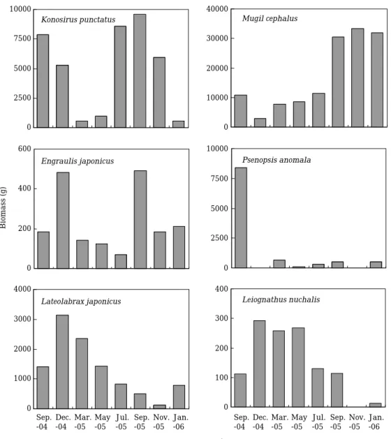Fig. 5. Temporal variations in biomass of common fish species in Masan Bay.