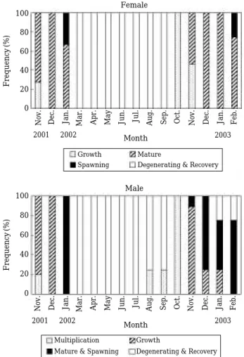 Fig. 6. Monthly change in frequency of oocytes develop- develop-ment stage of Dityosoma burgeri during spawning.