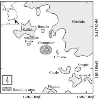 Fig. 2. Illustration (a) and photograp (b) showing otolith radius (R) and ring radius (r n )