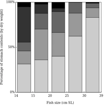 Fig. 4. Ontogenetic changes in composition of stomach contents by dry weight of Chelidonichthys  spino-sus.