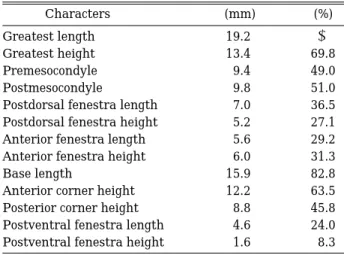 Table 2. Actual and proportional neurocranium measure- measure-ments (as percentages of nasobasal length) of Okamejei mengae sp