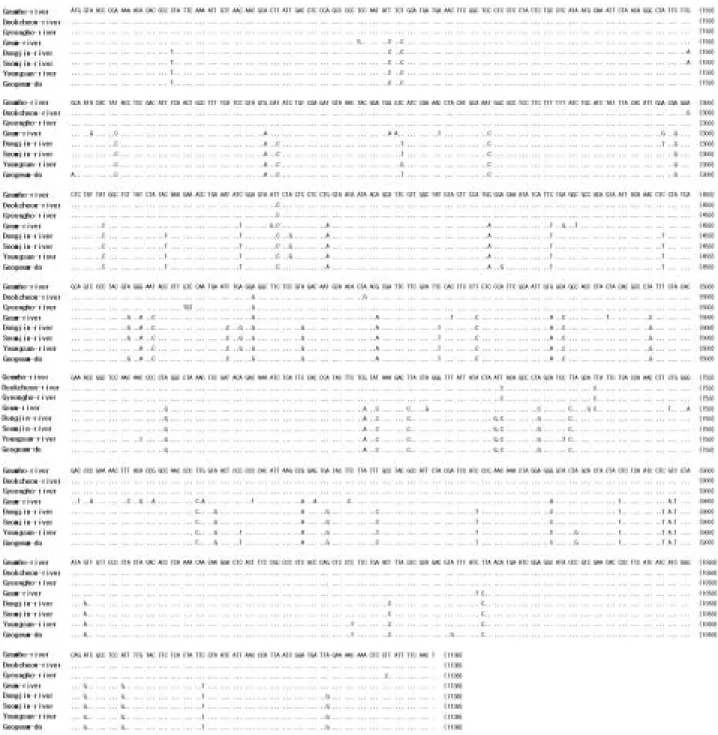 Fig. 3. The sequence alignment of mitochondrial cytochrome b genes of L. mediadiposalis