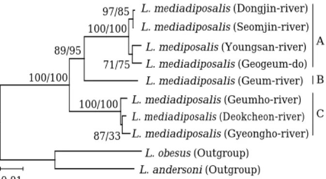 Fig. 5. Phylogenetic tree constructed by neighbor-joning (NJ) method. The numbers at the left side of slash were bootstrap values based on NJ method and the numbers at the right side were the values based on maximum parsimony method